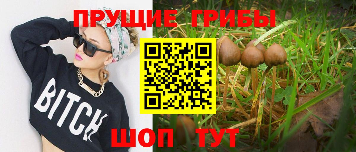 Галлюциногенные грибы GOLDEN TEACHER Азнакаево