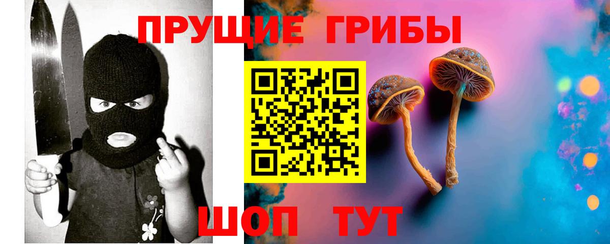 цена наркотик  Псилоцибиновые грибы GOLDEN TEACHER  Вход с VPN  Псилоцибиновые грибы прущие грибы  Азнакаево 